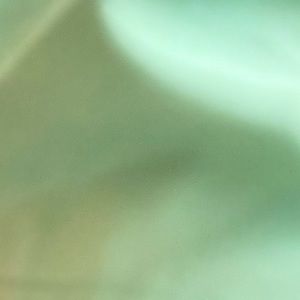 Meet your Posher, Earl christian